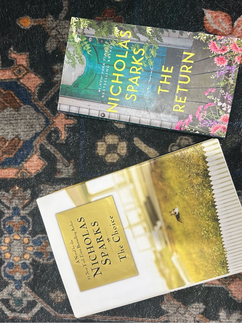 Nicholas Sparks The choice and The return